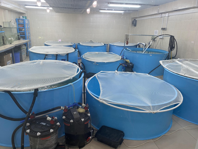 ПАК Иркутск 2023